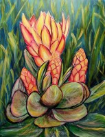 /album/photo-gallery-abstract-art/eve-s-garden-no-4-jpg/